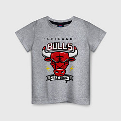 Футболка хлопковая детская Chicago Bulls est. 1966, цвет: меланж