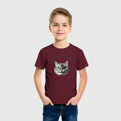 Детская футболка Кот с вопросами / Меланж-бордовый – фото 3