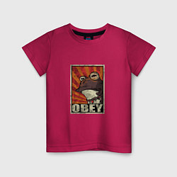 Детская футболка Obey frog