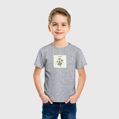 Детская футболка Ромашки chamomile / Меланж – фото 3