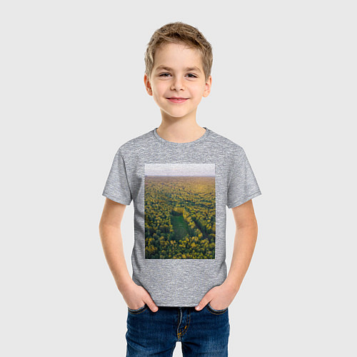 Детская футболка Футбольное поле с высоты / Меланж – фото 3