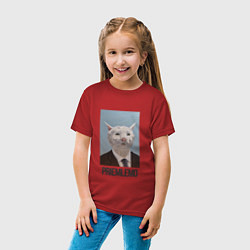 Футболка хлопковая детская Приемлемо - кот мем в живописи, цвет: красный — фото 2