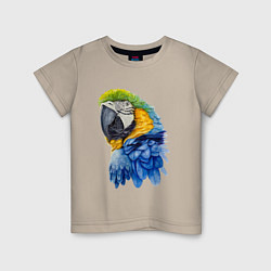 Футболка хлопковая детская Сине-золотой попугай ара, цвет: миндальный