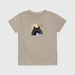 Футболка хлопковая детская Видеозвонок с котом парный мем, цвет: миндальный