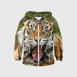 Ветровка с капюшоном детская Удивленный тигр, цвет: 3D-белый