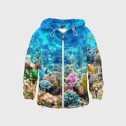 Детская ветровка Дно морское