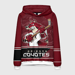 Мужская толстовка Arizona Coyotes