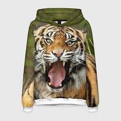Толстовка-худи мужская Удивленный тигр, цвет: 3D-белый