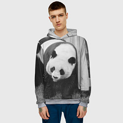 Толстовка-худи мужская Большая панда, цвет: 3D-меланж — фото 2