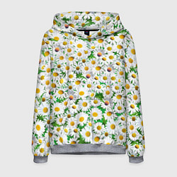 Толстовка-худи мужская Полевые ромашки, цвет: 3D-меланж