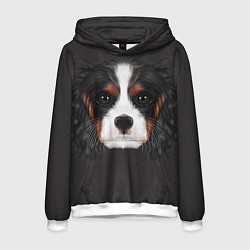 Толстовка-худи мужская Cavalier King Charles, цвет: 3D-белый