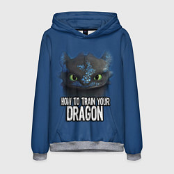 Толстовка-худи мужская How to train your dragon, цвет: 3D-меланж
