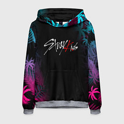Толстовка-худи мужская STRAY KIDS, цвет: 3D-меланж
