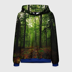 Толстовка-худи мужская Лес, цвет: 3D-синий