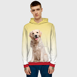 Толстовка-худи мужская Лабрадор ретривер пес, цвет: 3D-красный — фото 2