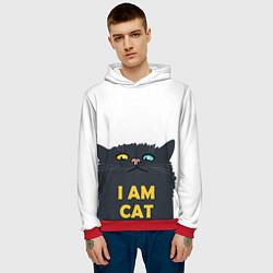 Толстовка-худи мужская I AM CAT, цвет: 3D-красный — фото 2