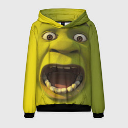 Толстовка-худи мужская Shrek is Yelling, цвет: 3D-черный