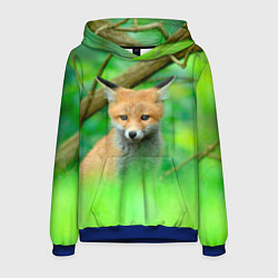 Толстовка-худи мужская Лисенок в зеленом лесу, цвет: 3D-синий