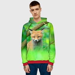 Толстовка-худи мужская Лисенок в зеленом лесу, цвет: 3D-красный — фото 2