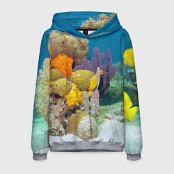 Толстовка-худи мужская Морской мир, цвет: 3D-меланж