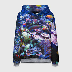 Толстовка-худи мужская Коралловые рыбки, цвет: 3D-меланж
