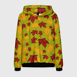 Толстовка-худи мужская Осенние листья клён и дуб, цвет: 3D-черный