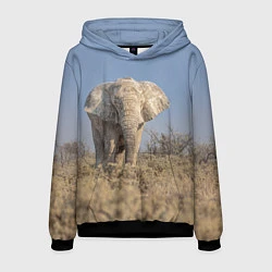 Толстовка-худи мужская Африканский белый слон, цвет: 3D-черный