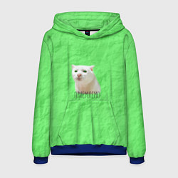 Толстовка-худи мужская Приемлемо кот мем, цвет: 3D-синий