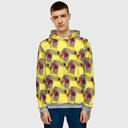 Толстовка-худи мужская Попугай Корелла Орёт Мем, цвет: 3D-меланж — фото 2