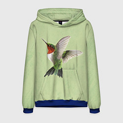 Толстовка-худи мужская Одинокая колибри, цвет: 3D-синий