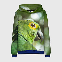 Толстовка-худи мужская Попугaй, цвет: 3D-синий