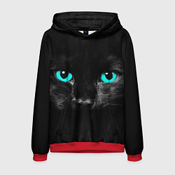Толстовка-худи мужская Чёрный кот с бирюзовыми глазами, цвет: 3D-красный
