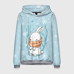 Толстовка-худи мужская Кролик в снеженом лесу, цвет: 3D-меланж