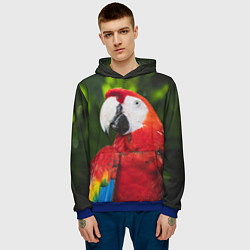 Толстовка-худи мужская Красный попугай Ара, цвет: 3D-синий — фото 2