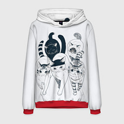 Толстовка-худи мужская Любопытные кошки, цвет: 3D-красный