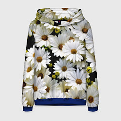 Толстовка-худи мужская Белые цветы ромашки - летний паттерн, цвет: 3D-синий