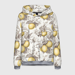 Толстовка-худи мужская Лимоны - винтаж графика: паттерн, цвет: 3D-меланж