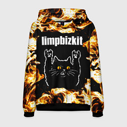 Толстовка-худи мужская Limp Bizkit рок кот и огонь, цвет: 3D-черный