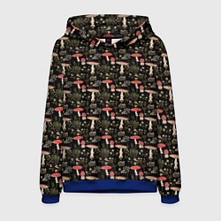 Толстовка-худи мужская Goblincore - мухоморы, цвет: 3D-синий