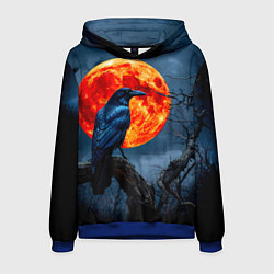 Толстовка-худи мужская Ворон на закате, цвет: 3D-синий