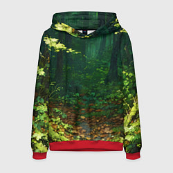 Толстовка-худи мужская Зелёный летний лес, цвет: 3D-красный