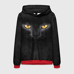 Толстовка-худи мужская Черная кошка, цвет: 3D-красный