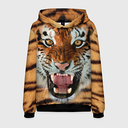 Толстовка-худи мужская Взгляд тигра, цвет: 3D-черный