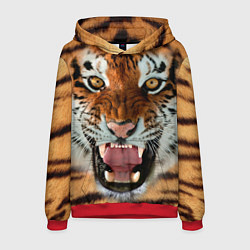 Толстовка-худи мужская Взгляд тигра, цвет: 3D-красный