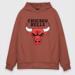 Толстовка оверсайз мужская Chicago Bulls цвета кирпичный — фото 1