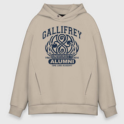 Толстовка оверсайз мужская Доктор Кто, Галлифрей, цвет: миндальный