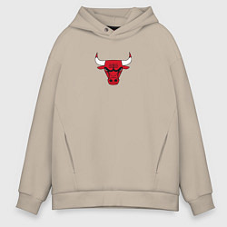 Толстовка оверсайз мужская CHICAGO BULLS, цвет: миндальный