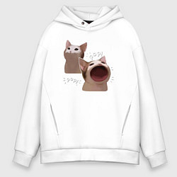 Толстовка оверсайз мужская Cat Pop - Мем, цвет: белый