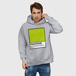 Толстовка оверсайз мужская Shrek: Pantone Color, цвет: меланж — фото 2