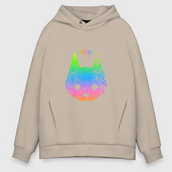 Мужское худи оверсайз Stray: Gradient